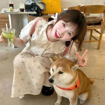 别敲两次门