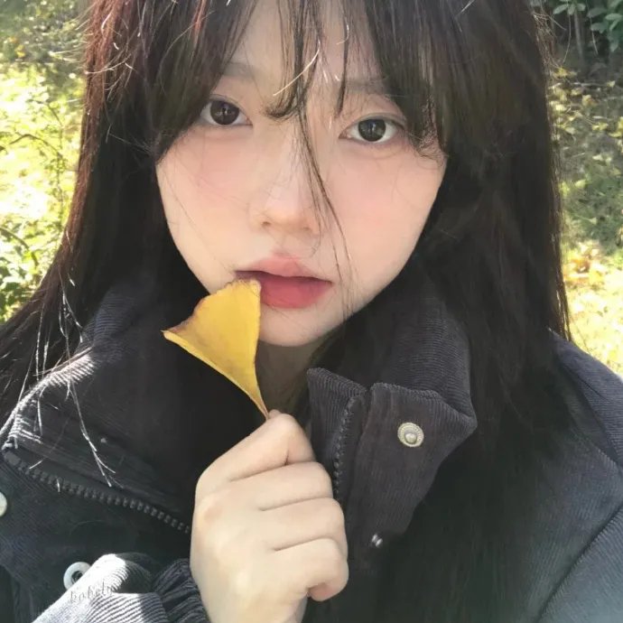 这里禁止恋爱